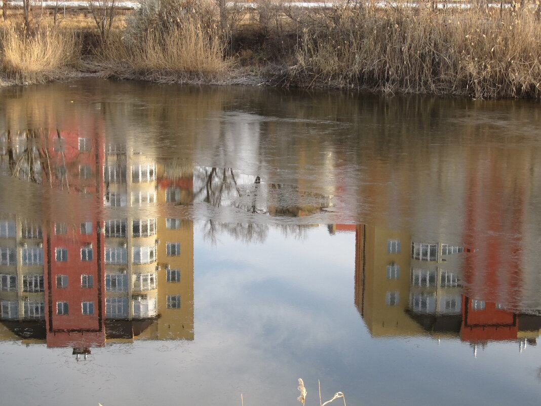 мир отражений - Елена Шаламова мир отражений - Елена Шаламова