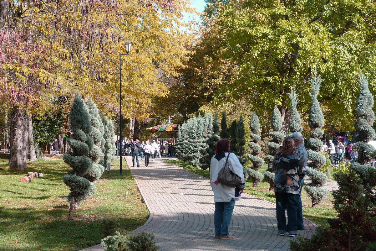 Аллея в парке - Валентин Семчишин