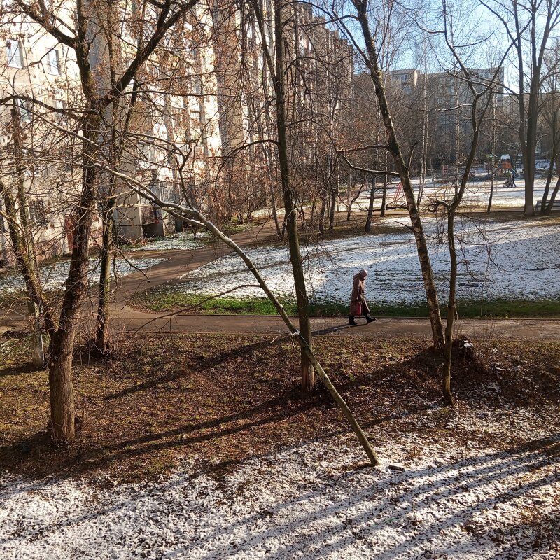 В ноябре - Елена Семигина В ноябре - Елена Семигина