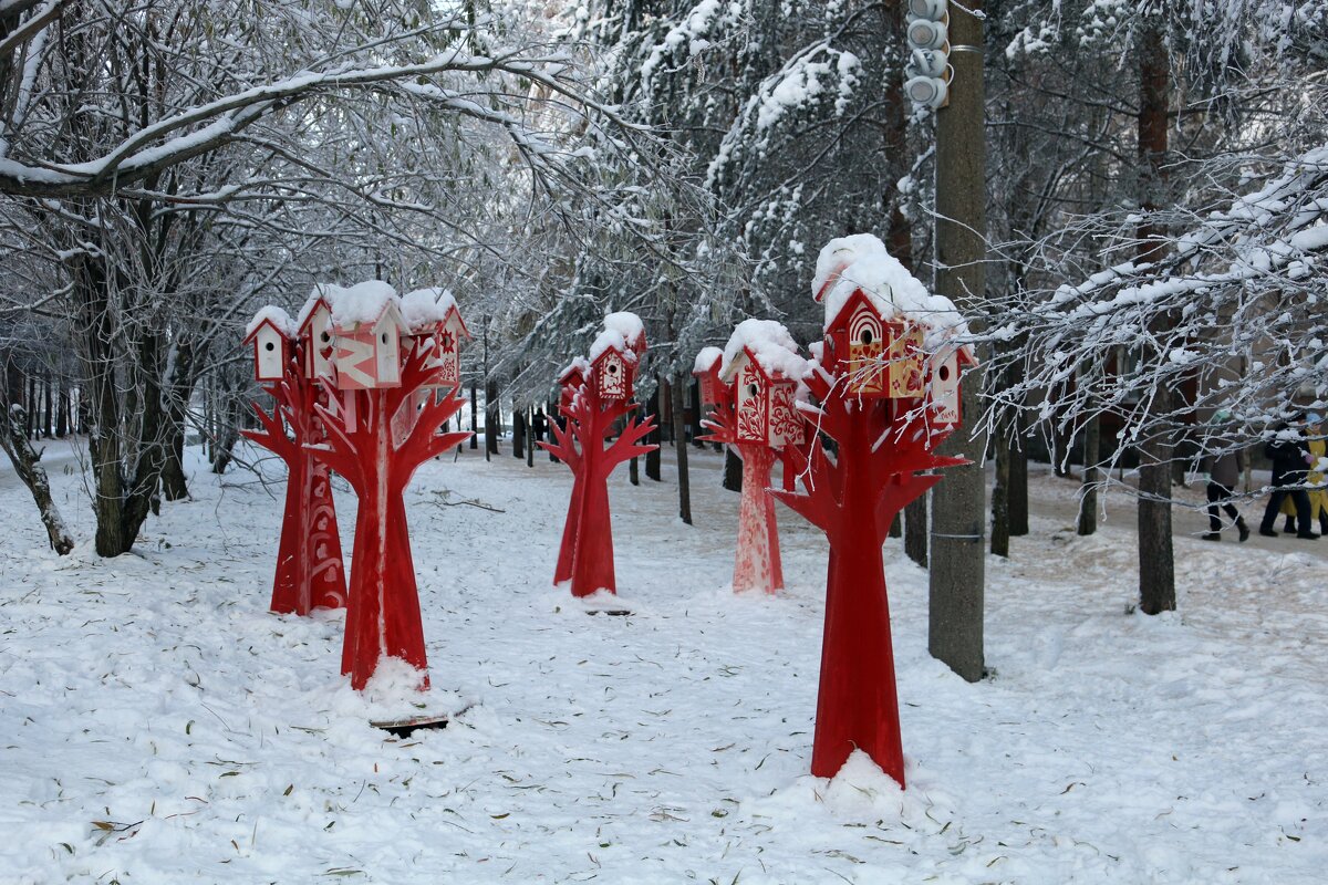 Птичьи домики - Ольга 