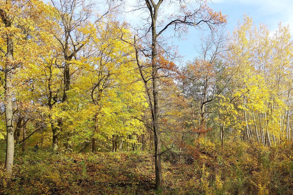 Ноябрь - Рита Симонова