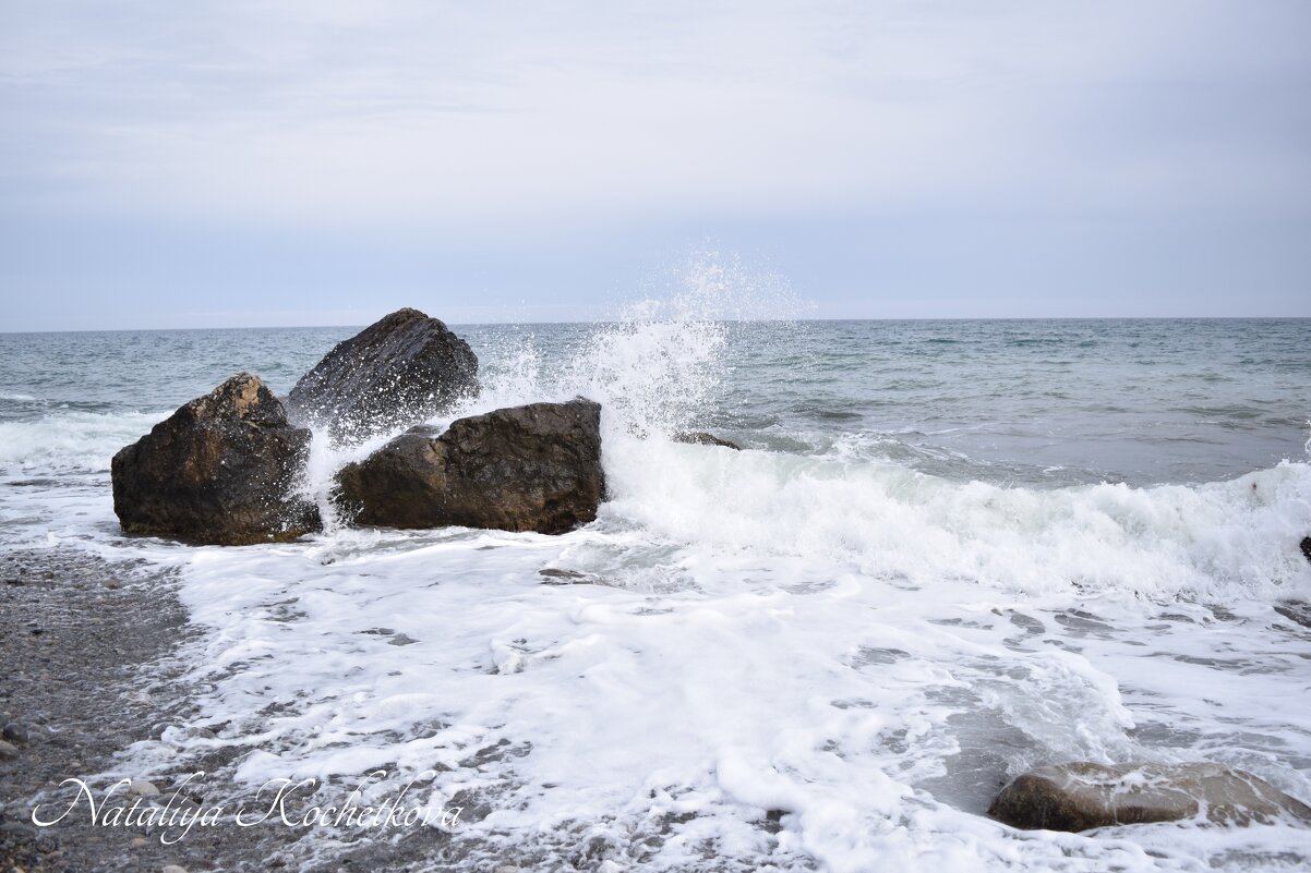 Природа Крыма - Amazing Cosmea