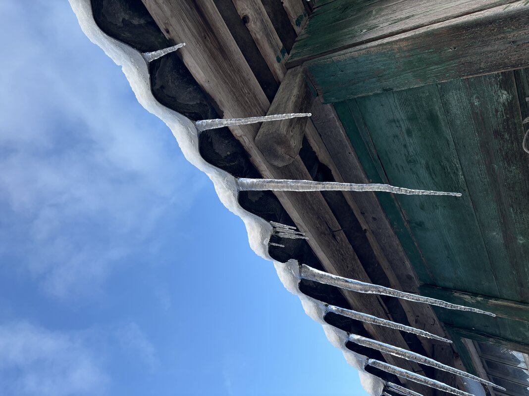 Сосульки - Ольга Савельева 