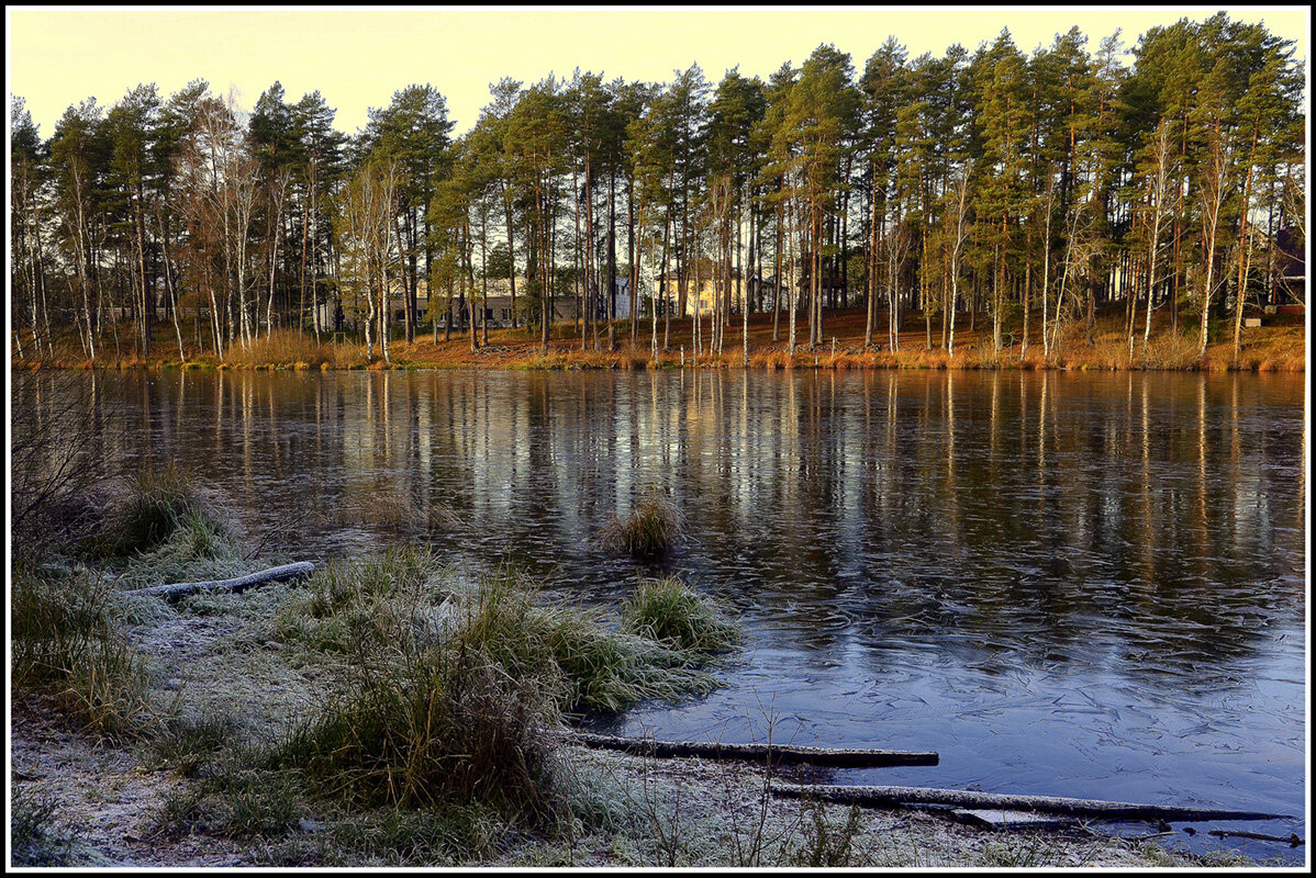 Первый мороз - Aleksandr Gal Первый мороз - Aleksandr Gal