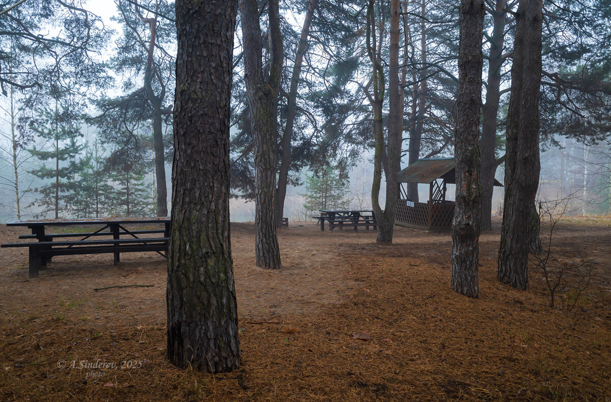 В парке туман - Александр Синдерёв