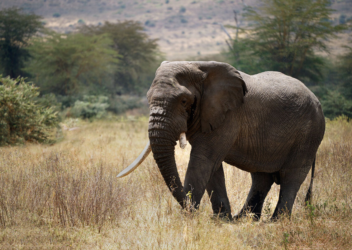 Во всей красе. - Liliya 