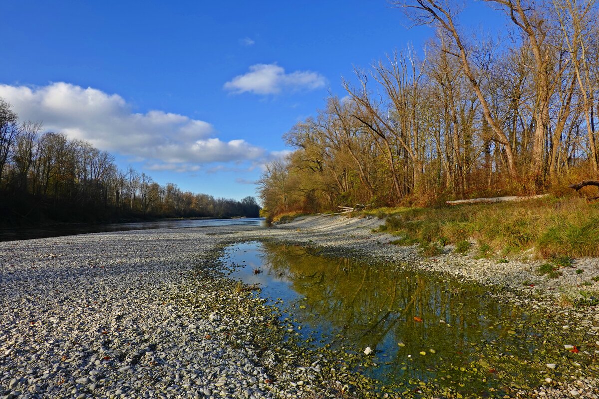 Вот и еще одна оголяется ветка клена… Тишина повсюду. Такахама Кёси... - Галина 