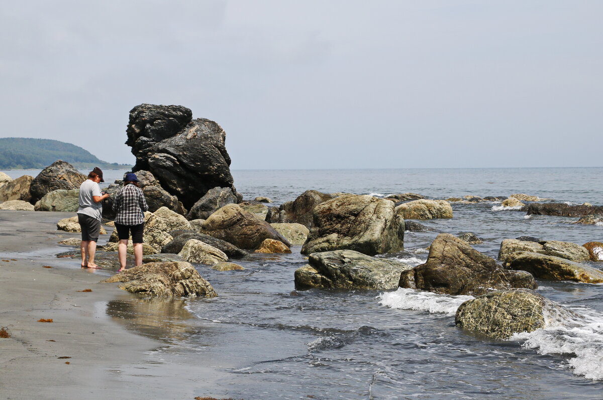 На берегу моря. - Ирина Нафаня