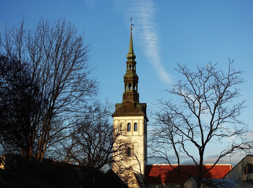 Вид на Нигулисте с горки Харью - Aida10 