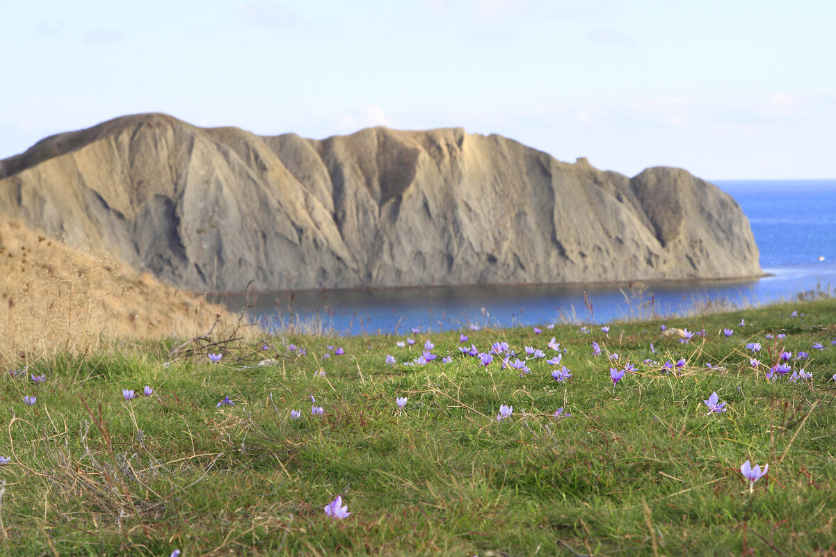 Шафран - Геннадий Валеев