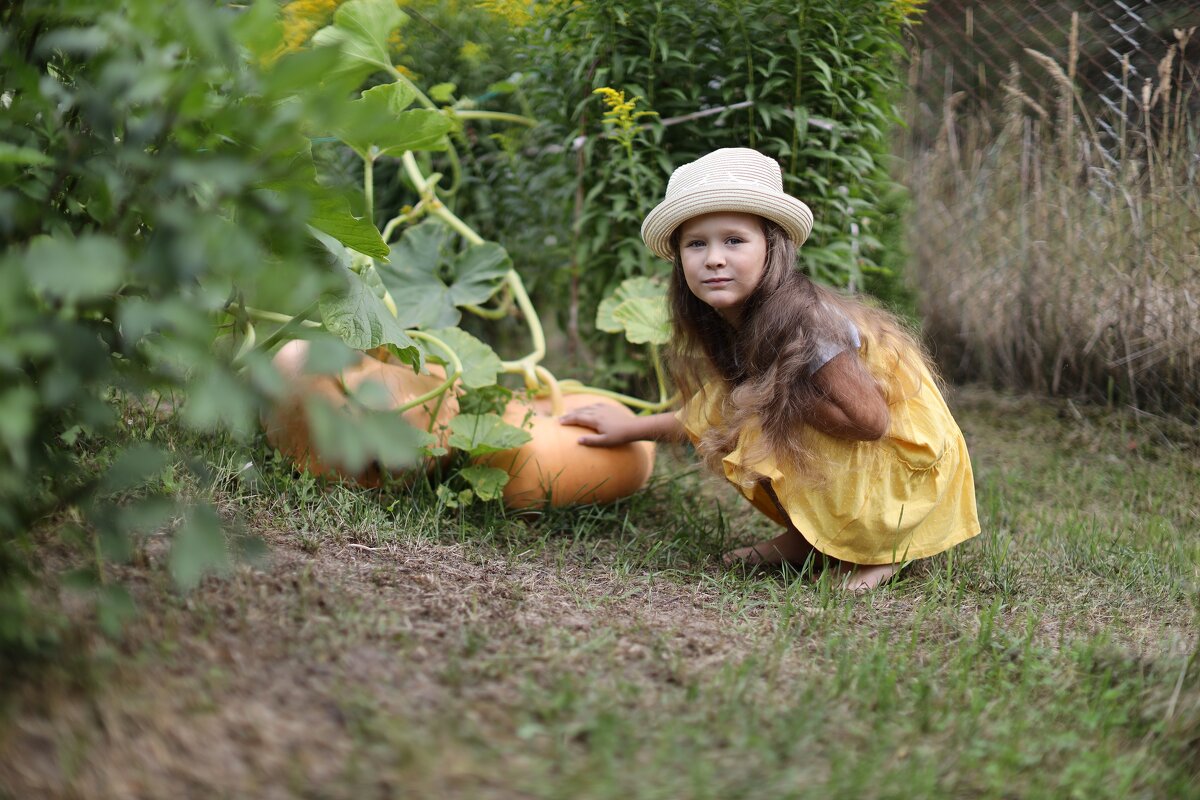 Тыквенный Спас - Пердимонокль 