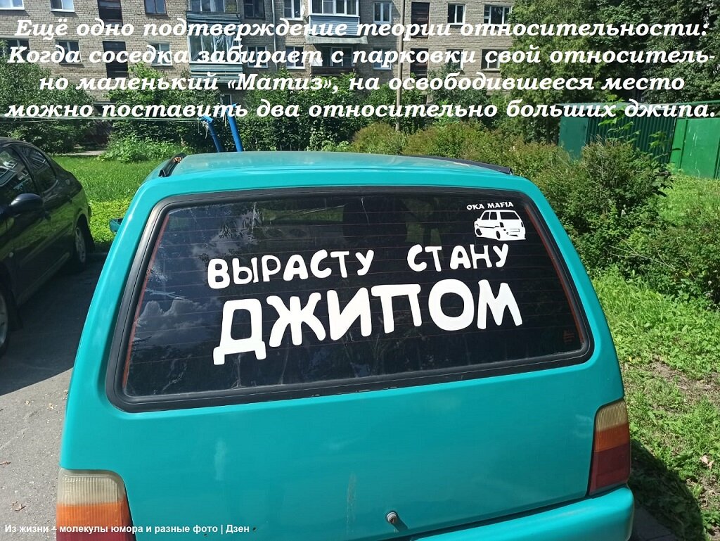 Оптимистка - svk *