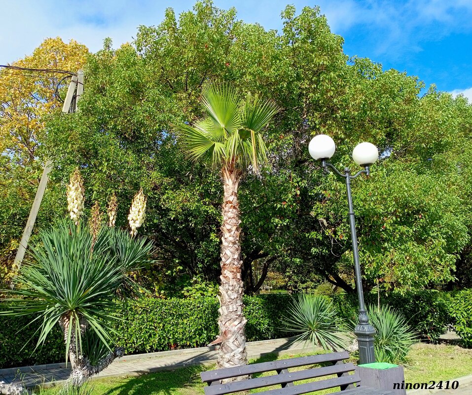 Адлер. На набережной реки Мзымты - Нина Бутко