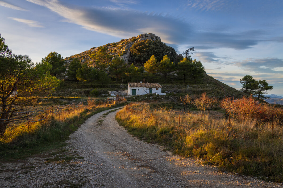 Вечерний свет - Алекс Римский