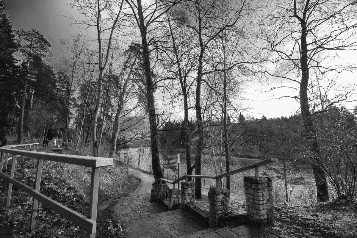 Лестница к реке. - Николай 