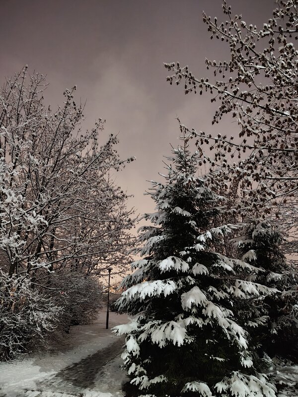 Снег - Андрей 