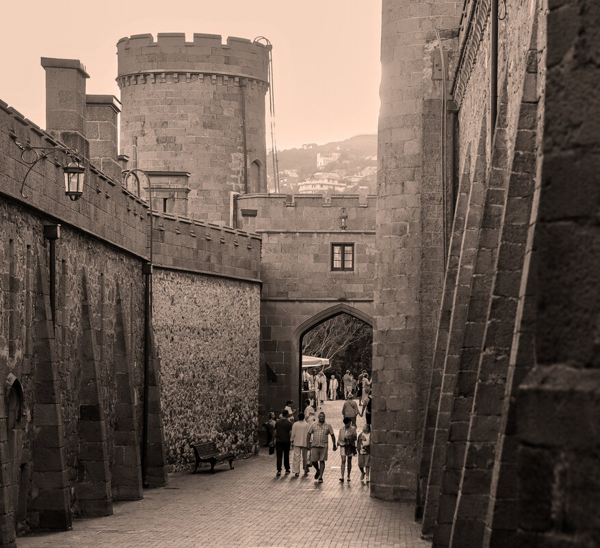 Воронцовский дворец - skijumper Иванов