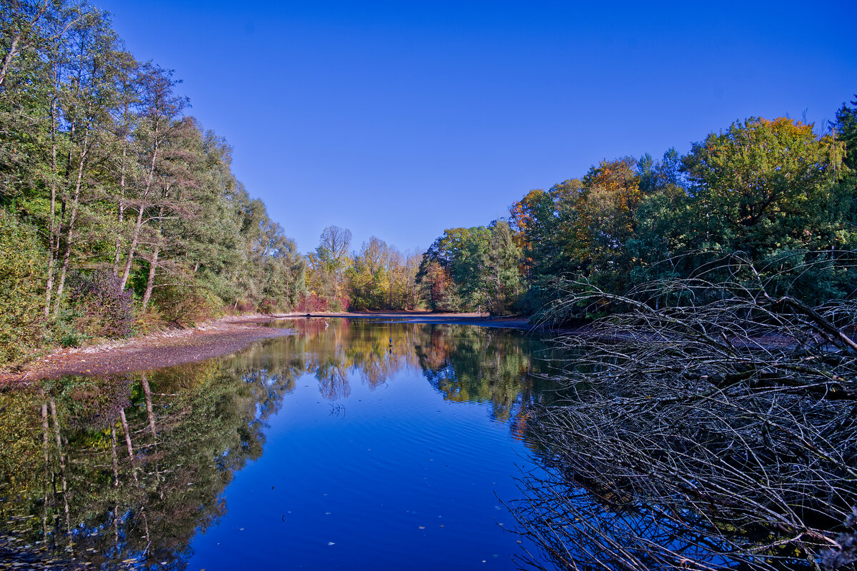 Пруд - Jakob Dick