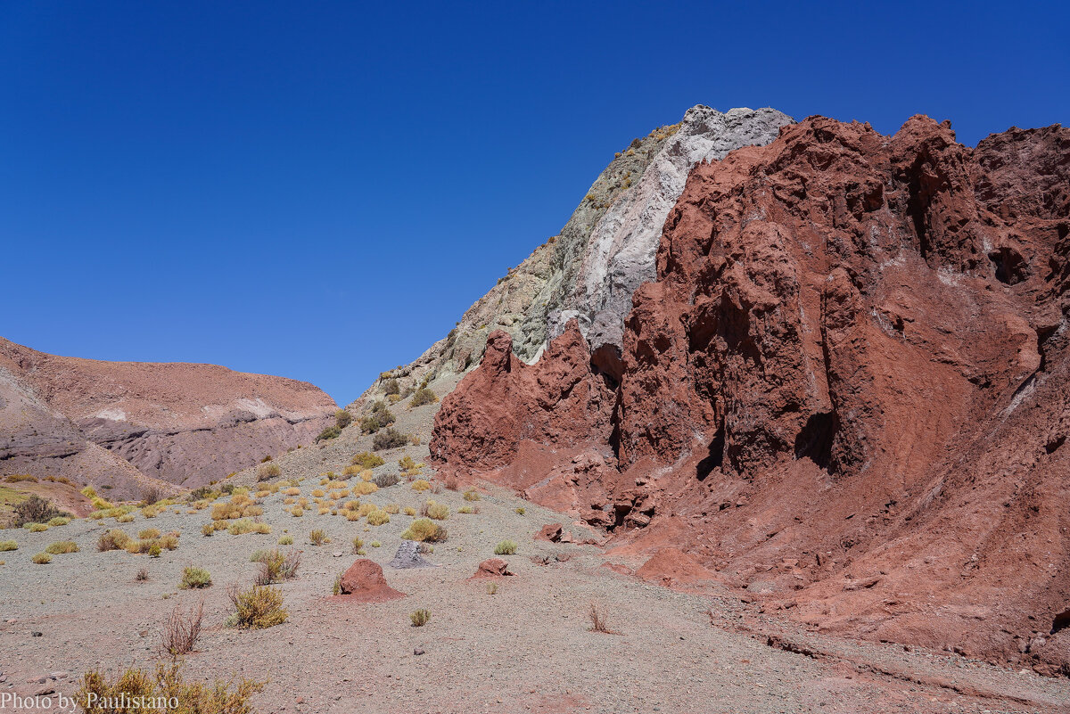 В горах Радужной долины... - Владимир Жданов