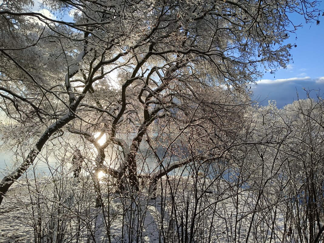 В солнечный день ноября - Мария Васильева