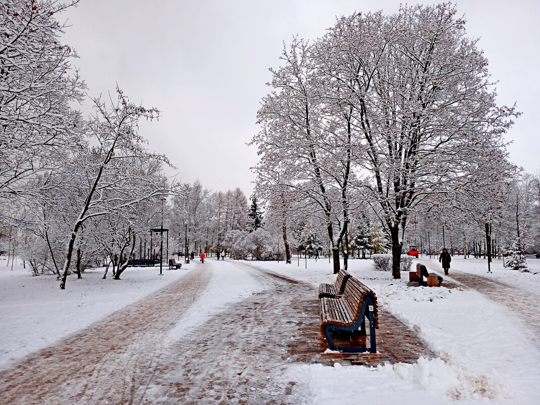 Пока не растаяло - красиво. - Лия ☼