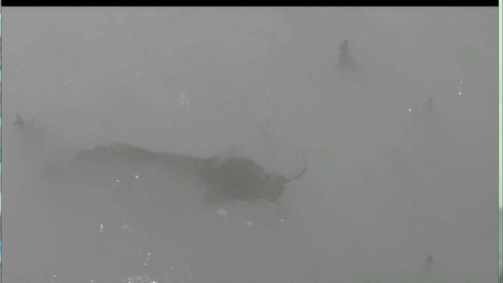 114 (167) - CLOSE WAYS ALL