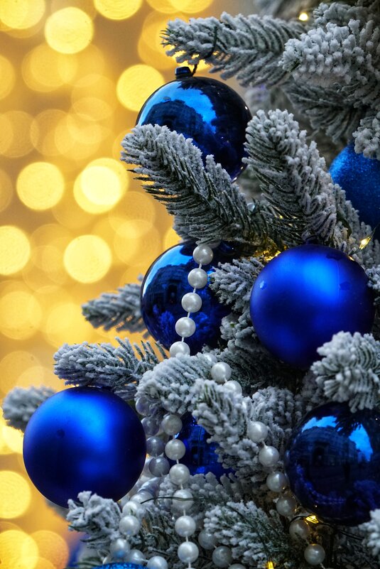 Эффект боке - александр 