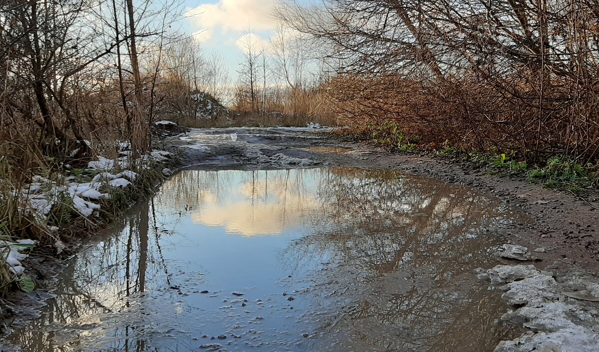 Эх, дороги... - Наталья Герасимова