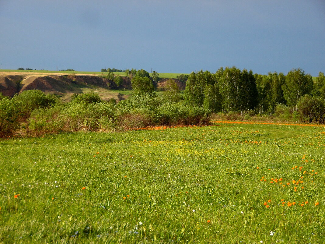 Бежит тропинка через луг, ныряет влево, вправо. Куда ни глянь, цветы вокруг, да по колено травы. - nadyasilyuk Вознюк Бежит тропинка через луг, ныряет влево, вправо. Куда ни глянь, цветы вокруг, да по колено травы. - nadyasilyuk Вознюк