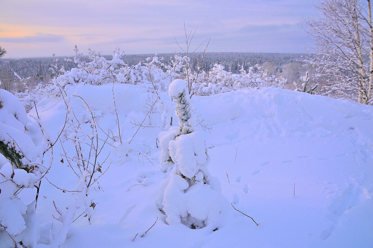 - - Владимир Мигонькин