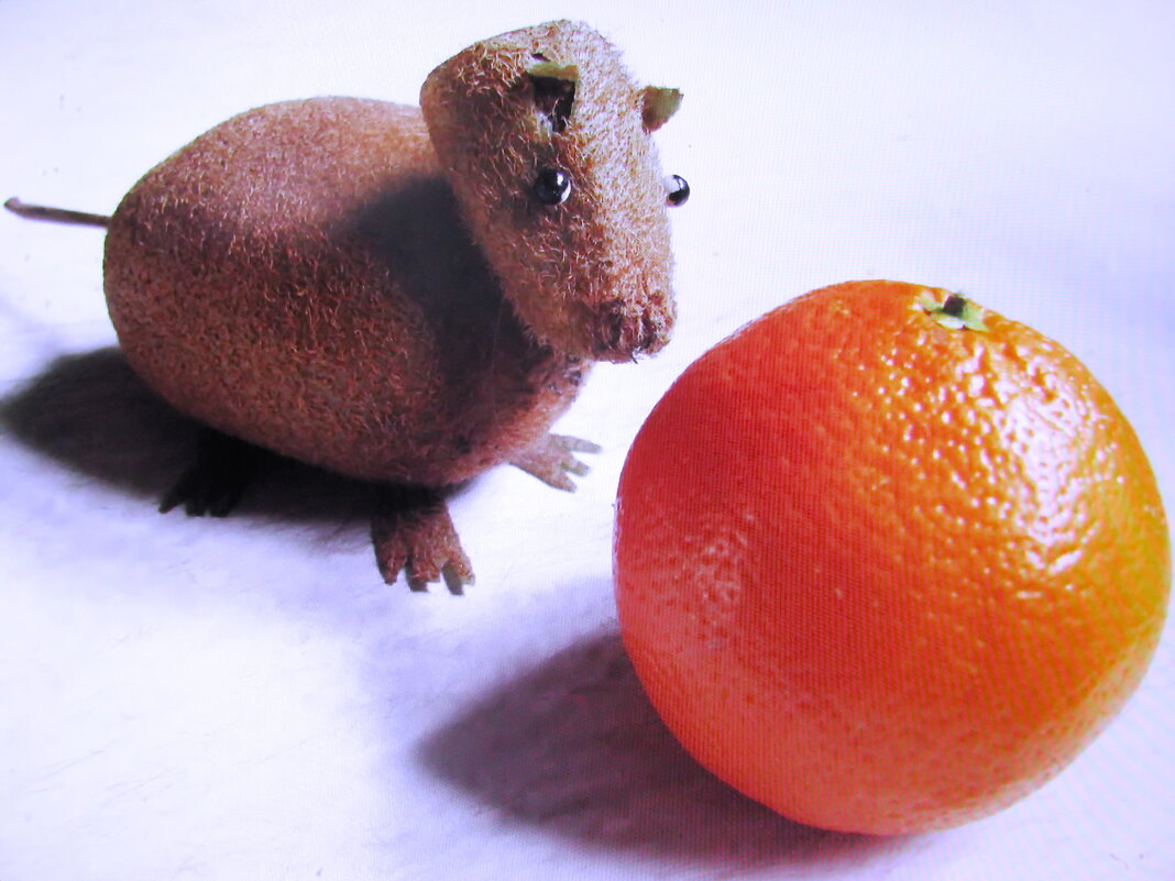 Калибара развлекается - Людмила Смородинская