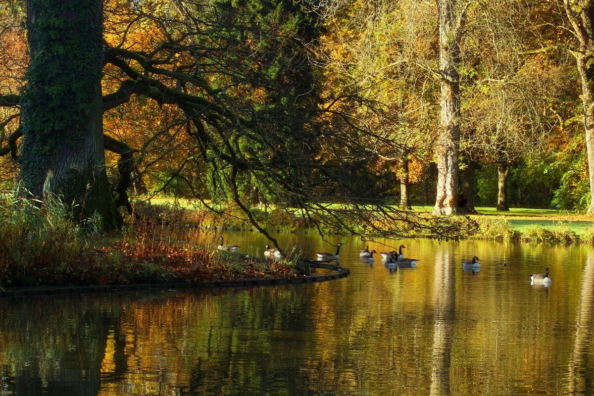 У озера - Юрий. Шмаков