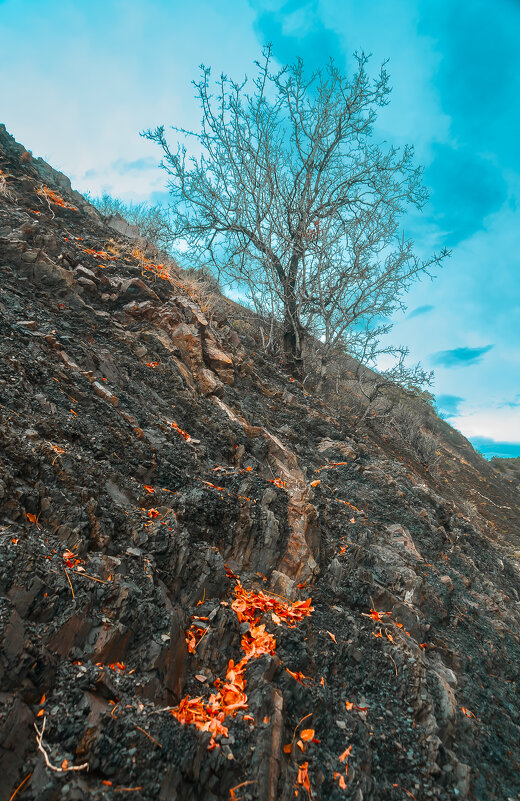 Застывший вулкан 2 - Олег Загорулько Застывший вулкан 2 - Олег Загорулько