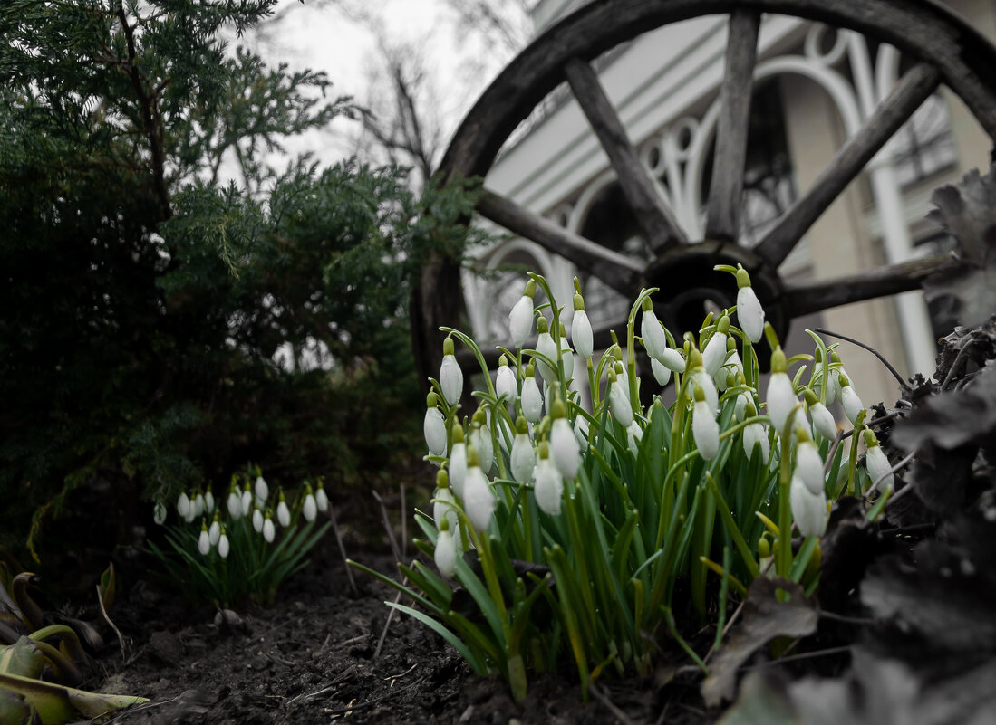 Весеннее - Олег Загорулько