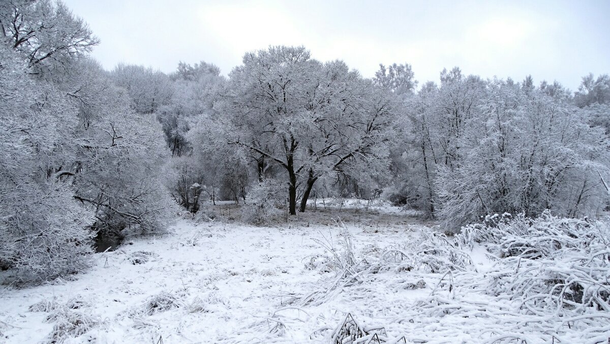 Природа в конце осени. - Милешкин Владимир Алексеевич Природа в конце осени. - Милешкин Владимир Алексеевич