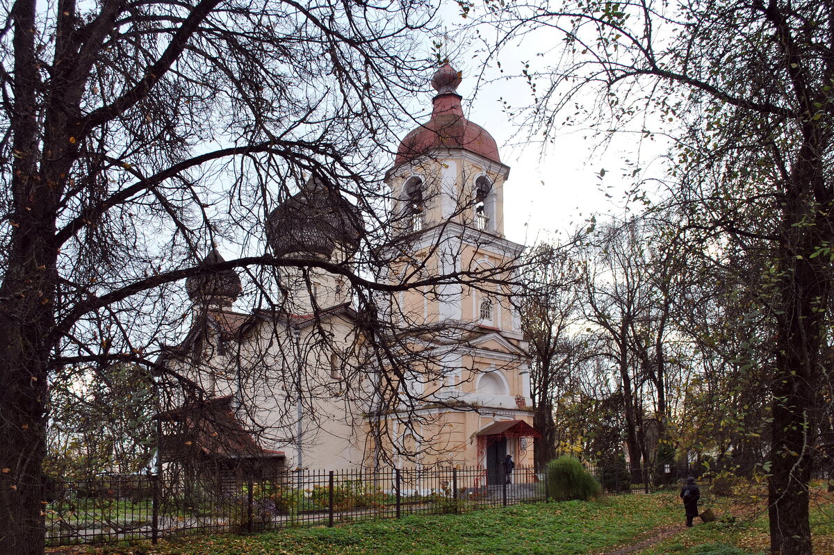 "На фоне закатного неба Ажурный узор из ветвей.." - AleksSPb Лесниченко