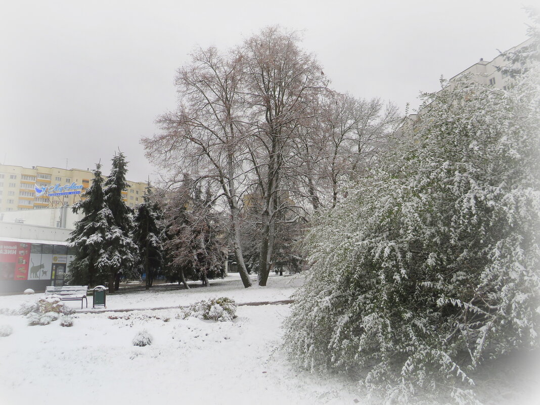 Первый снег - Ирина Олехнович