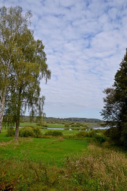 МИХАЙЛОВСКОЕ. - Виктор Осипчук