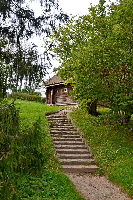 МИХАЙЛОВСКОЕ. - Виктор Осипчук