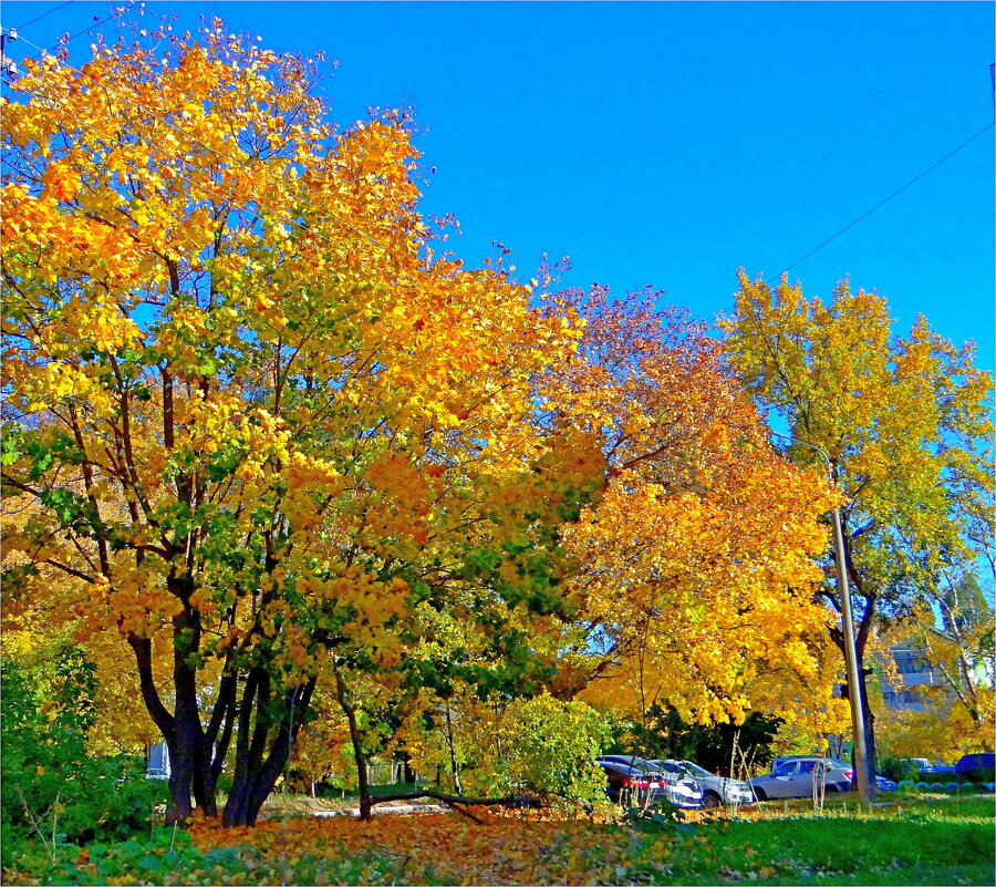 ГОРОД - Юрий Владимирович 34