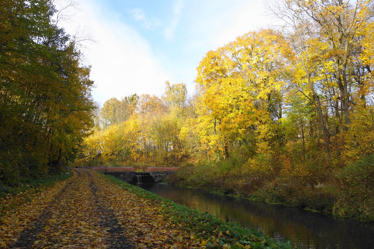 Ноябрь - Рита Симонова