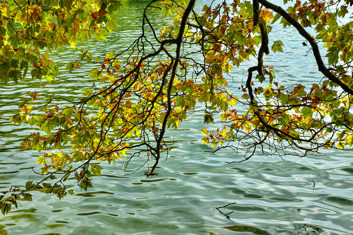 Осенний этюд. - Lucy Schneider Осенний этюд. - Lucy Schneider