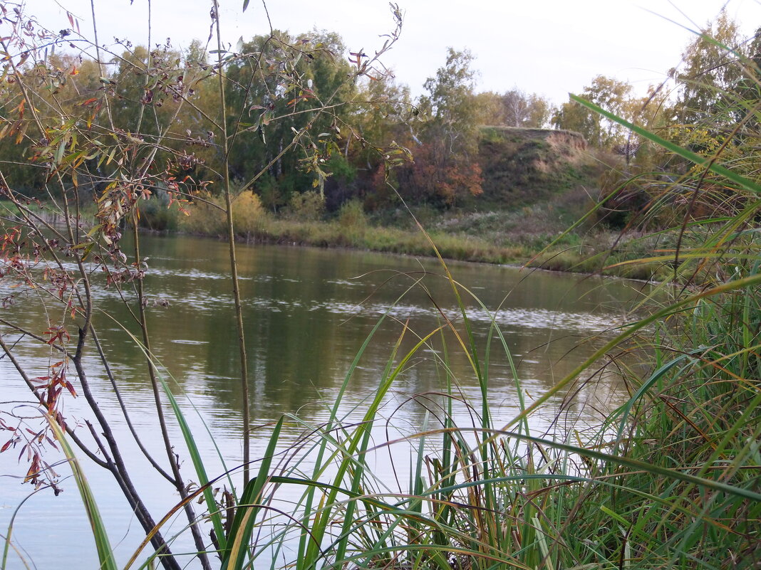 Местная речка Ачаирка. - сергей ермошкин