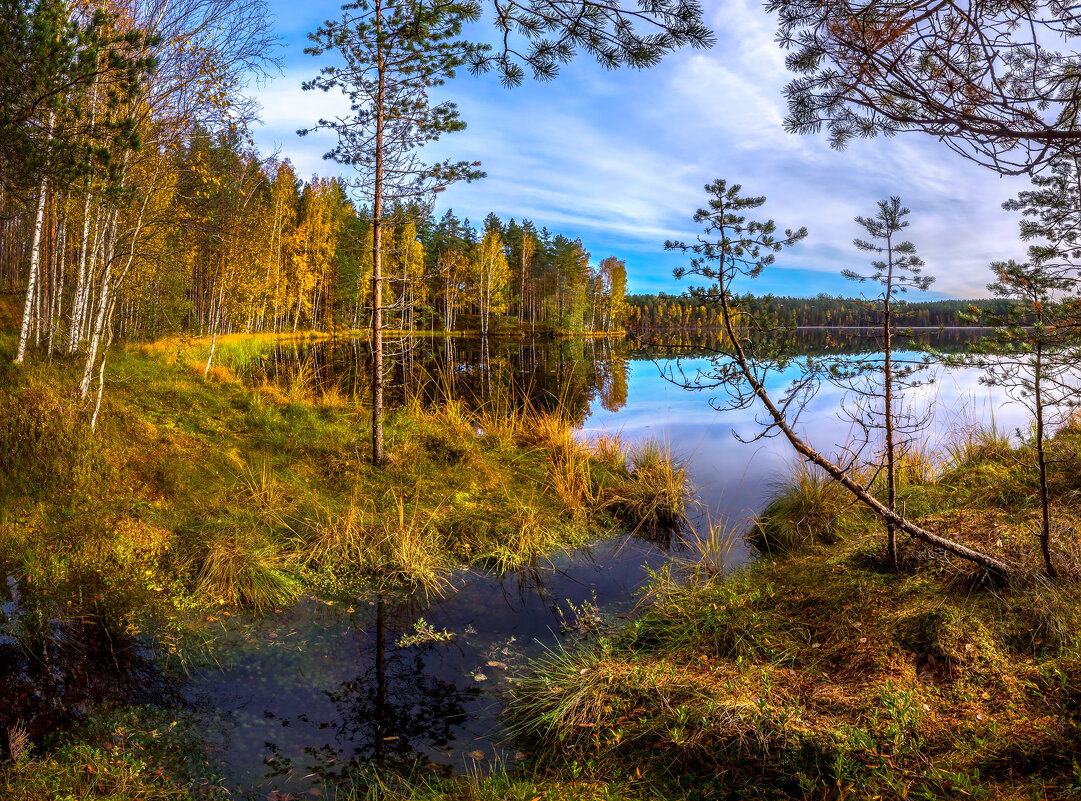 Из серии «Пейзажные картины» - Фёдор. Лашков