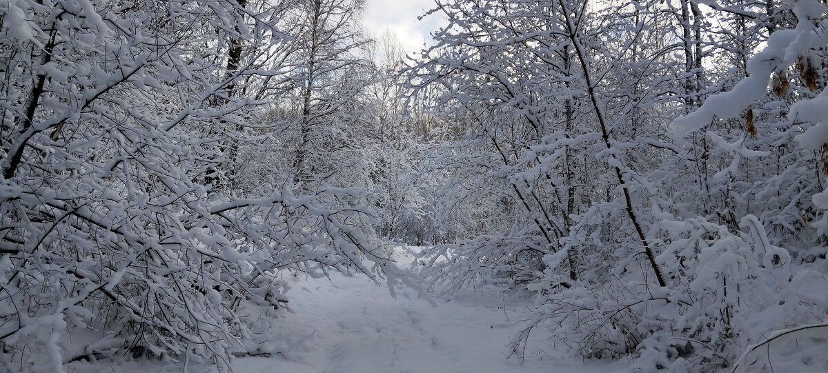 Снежная сказка!!! - Радмир Арсеньев