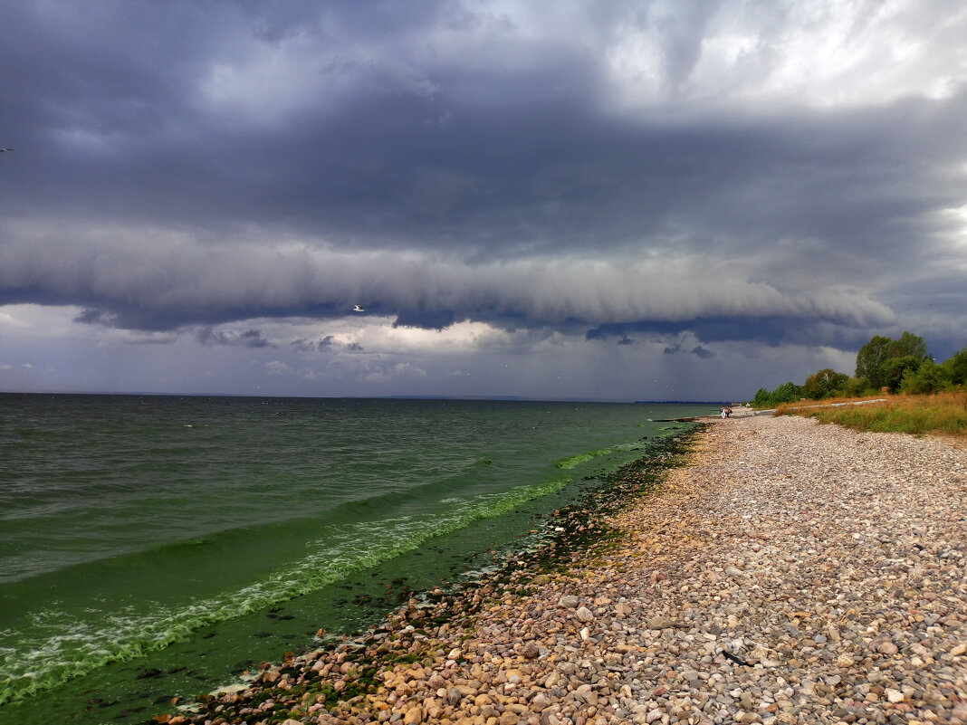 * - Александр Лисовский