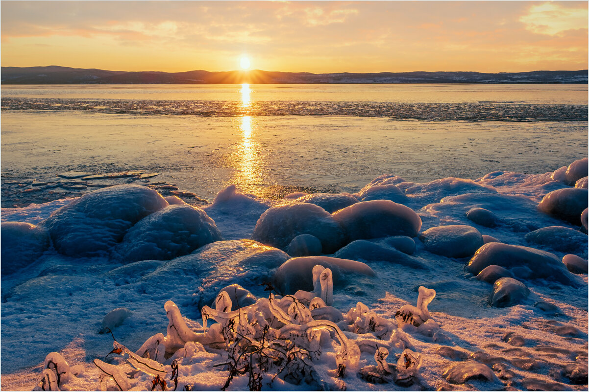 **** - Алексей Мезенцев