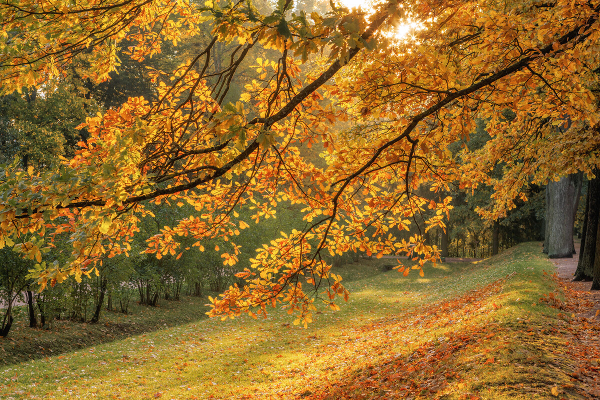 Осень - Владимир Колесников