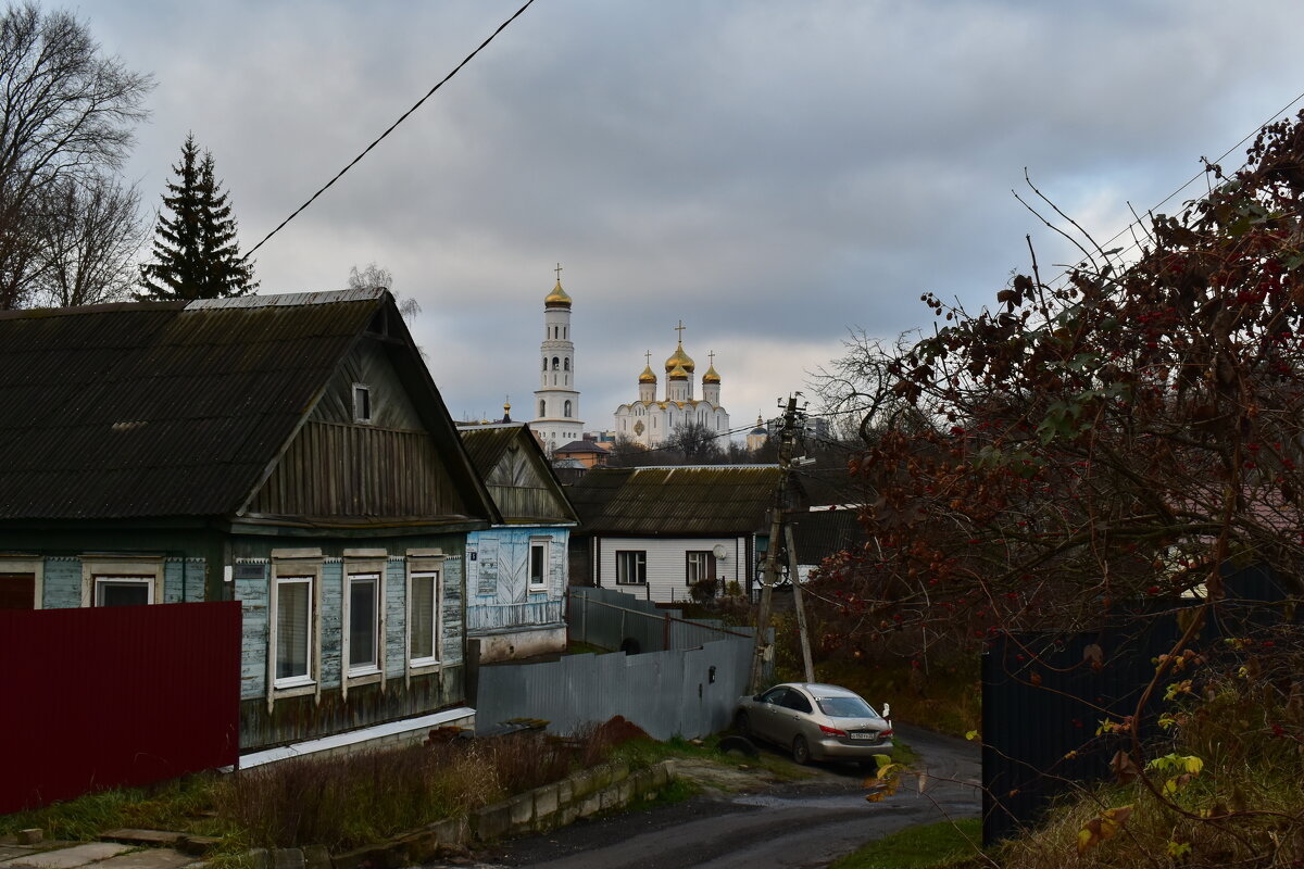 Вид на Троицкий Собор. Брянск - Роман Пацкевич