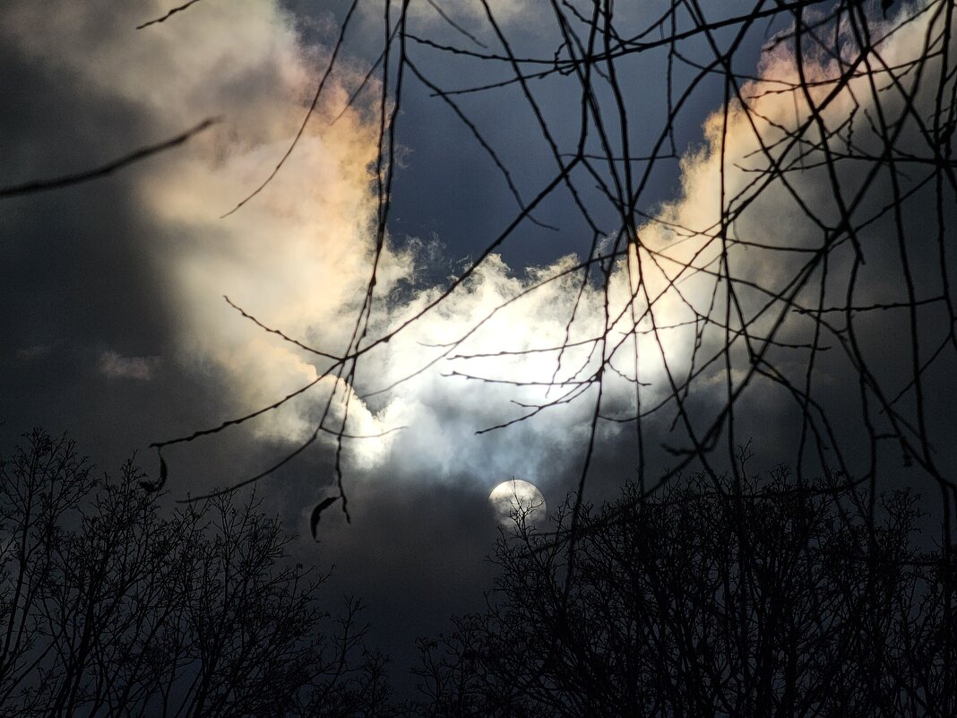 Дневная луна - Мария Яковлева Дневная луна - Мария Яковлева